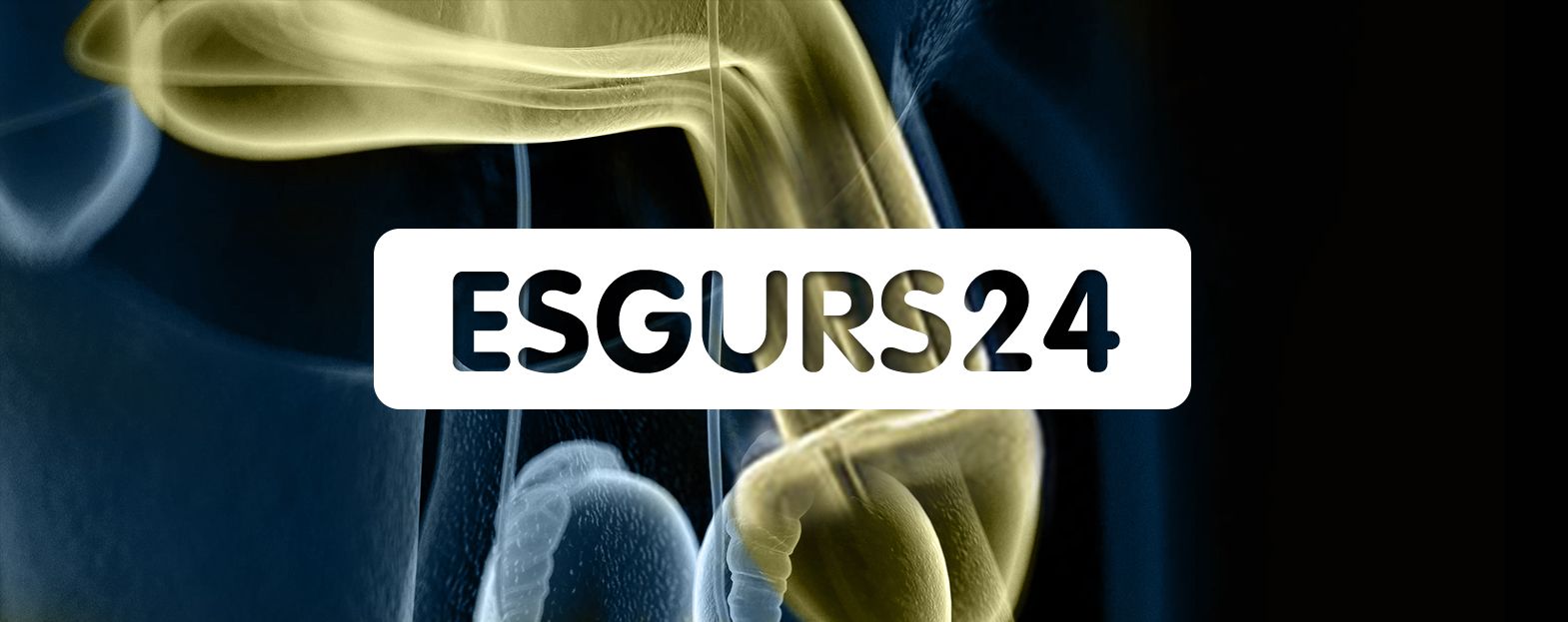 ESGURS 2024