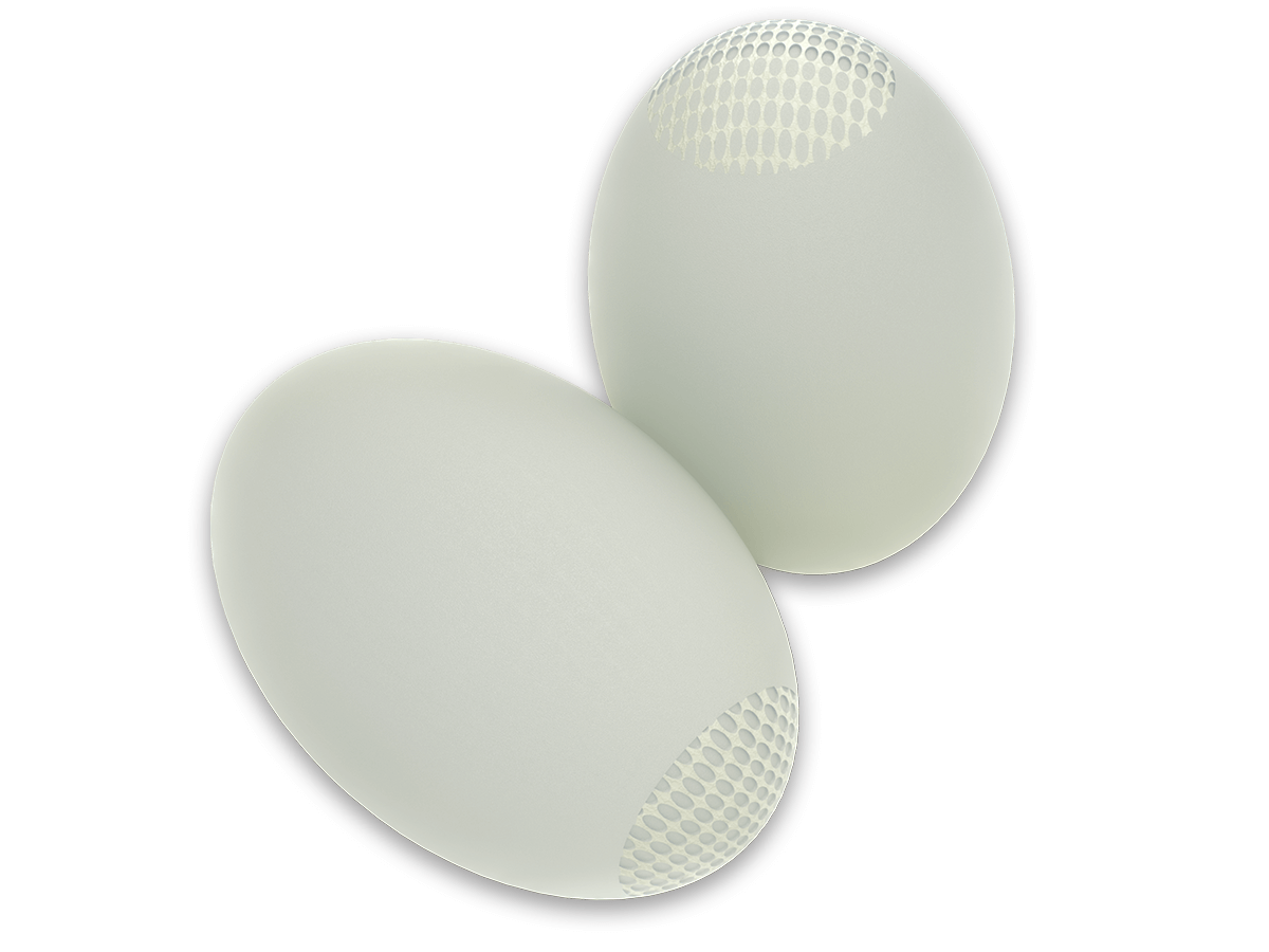 Testi10&trade; Firm Testicular Prosthesis