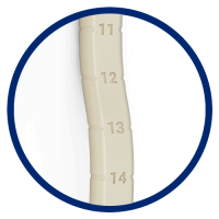 ईजी टू रीड साइजर