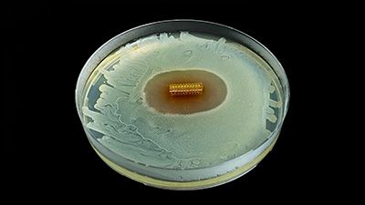 HydroShield&trade; Coating